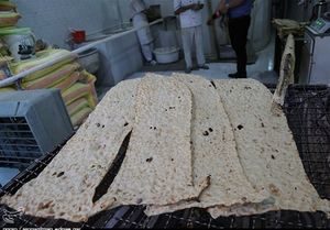 واکنش سخنگوی تعزیرات به گرانفروشی نان