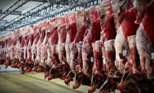 ترخیص گوشت از گمرک با دلار ۹۰۰۰ تومانی