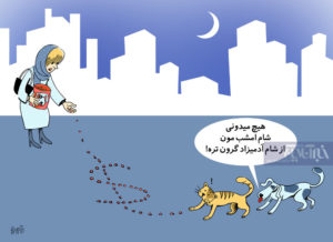 بفرمایید یک میلیون دلار غذای سگ!