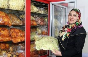 سهم مشاغل خانگی از طرحهای اشتغال روستایی
