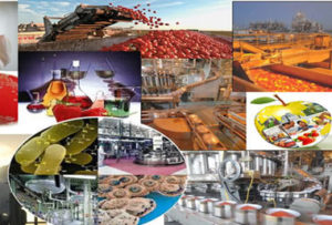 تمایل آلمان برای همکاری با ایران در حوزه صنایع غذایی