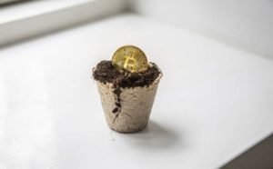 بیتکوین به پایینترین نرخ رسید
