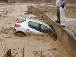 سهم قاره ها از حوادث طبیعی