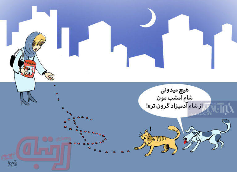 بفرمایید یک میلیون دلار غذای سگ!