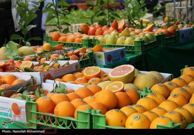 رده‌بندی 36 میوه و گیاه مفید درمانی در قندخون