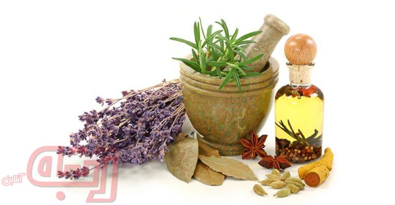 آنتی‌ویروس‌های گیاهی!