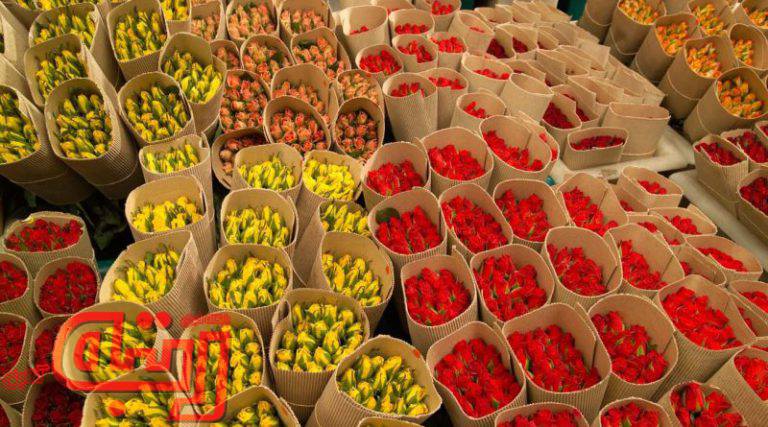 استارت برای صادرات یک میلیارد دلاری گل