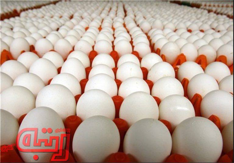 حقوق ورودی تخم مرغ ۴ درصد تعیین شد