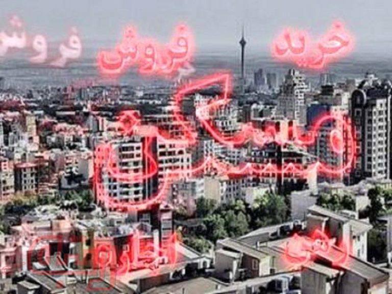 نبض مسکن در ۵ گروه سنی