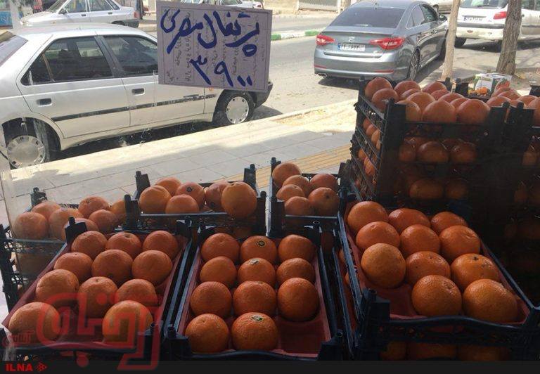 تغییر نام پرتقال ایرانی به پرتقال مصری برای گران‌فروشی