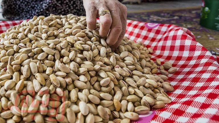 فشرده شدن گلوی صادرات پسته با کم آبی