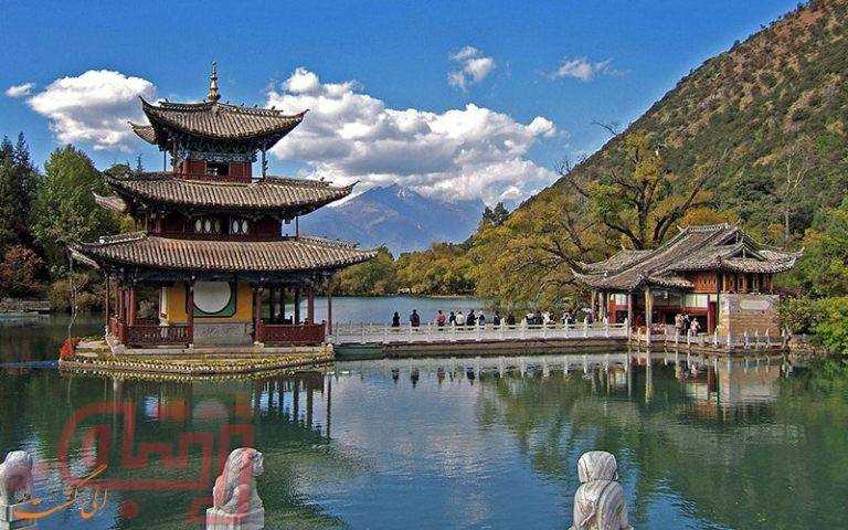 گونه‌ای ناشناخته از میمون گیبون
